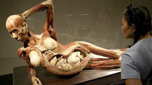 SHAME AUSTRALIA FOR ALLOWING DEPRAVED "ART" EXHIBITION