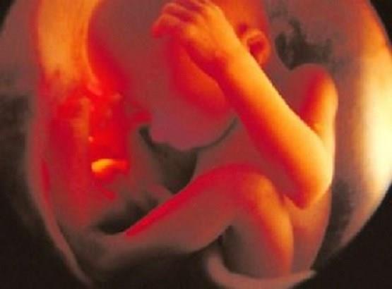 Ohio House Passes Bill Banning Abortions After Baby`s Heartbeat Begins