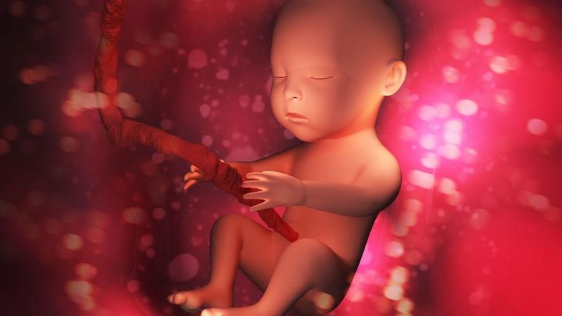 Scientists Confirm Unborn Children Feel Excruciating Pain During Abortions