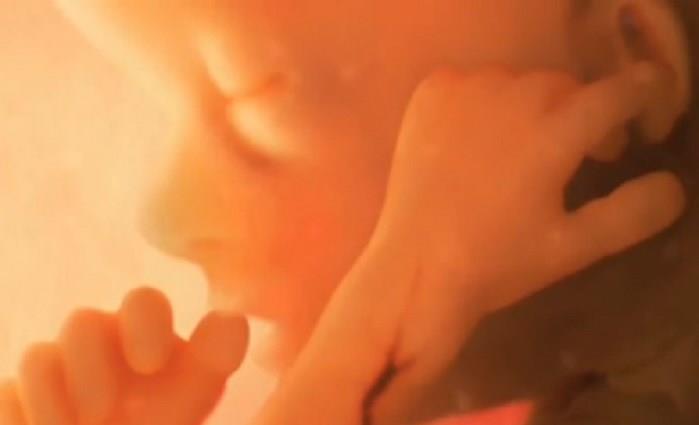 Democrats Support Animals Rights. But Okay Killing-Babies